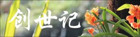 创世记简介
