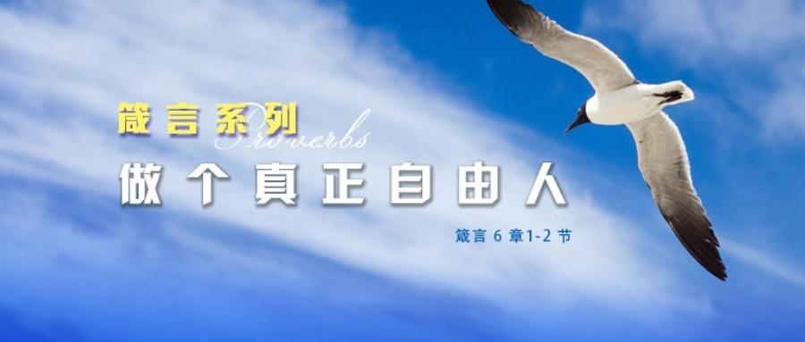 做个真正自由人