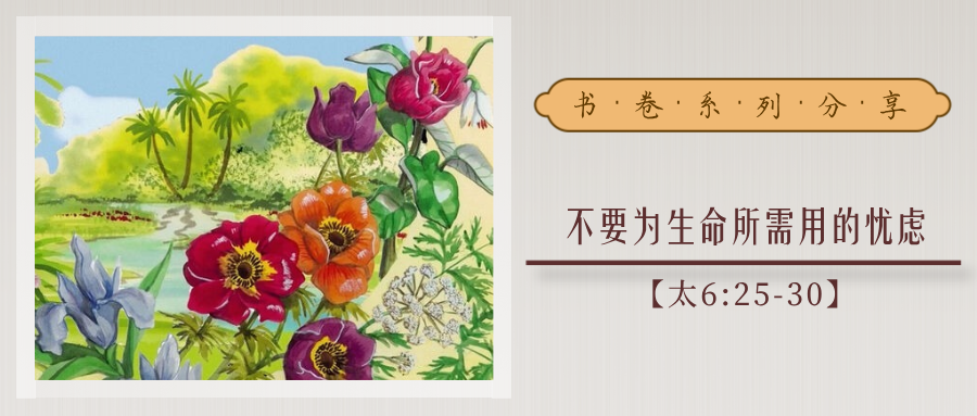 37.不要为生命所需用的忧虑