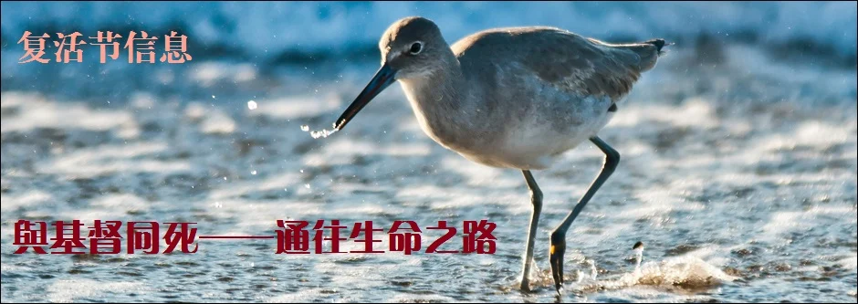 与基督同死——通往生命之路