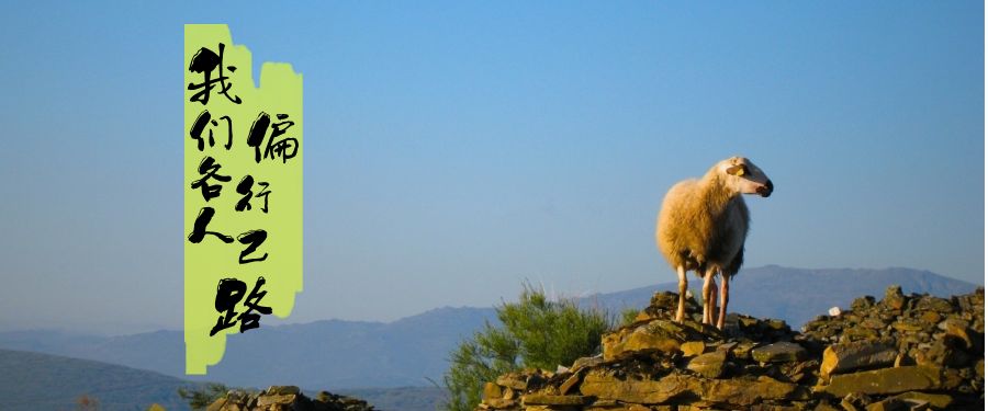 我们各人偏行己路